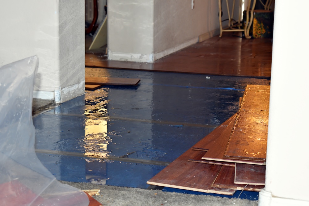 Storm and Tidal Floodwater in Your Baltimore Home? Here’s What to Do Next